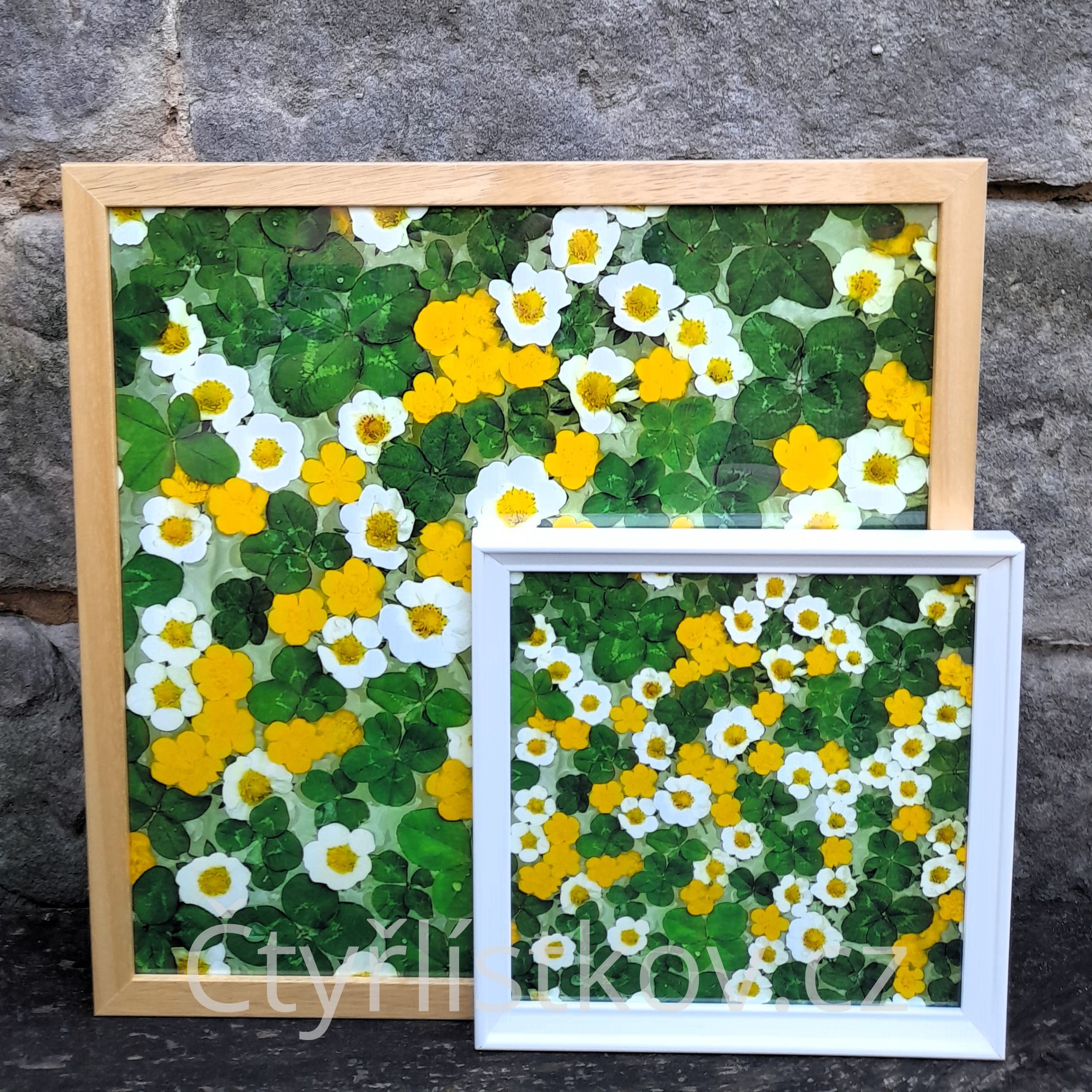 Fotografie 40x40cm a 25x25cm se čtyřlístky, pryskyřníkem a jahodovým květem
